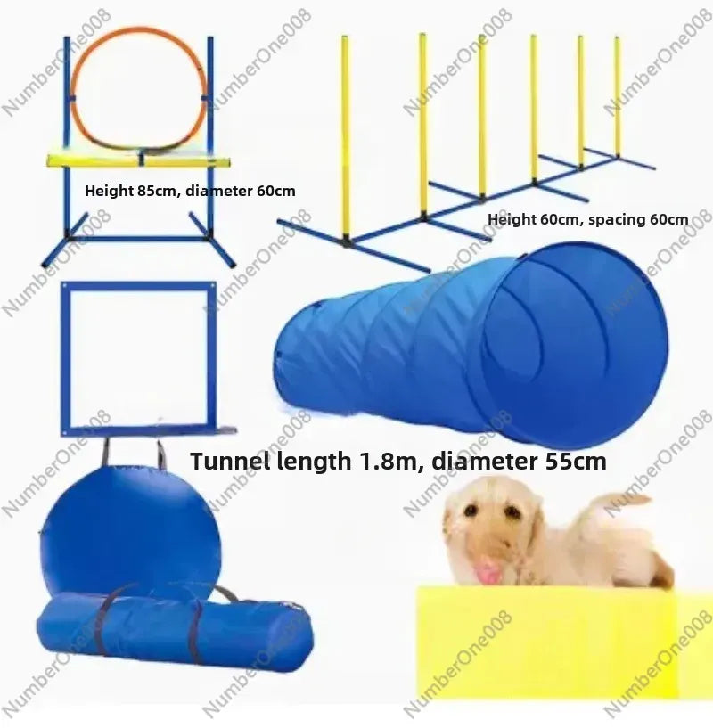 Hund Agility Träning